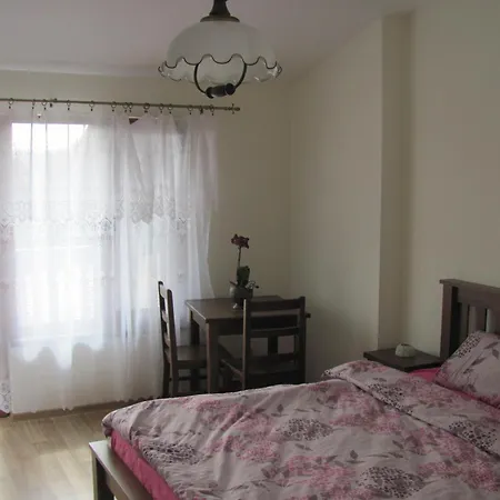 Elma Guest house Nevsha